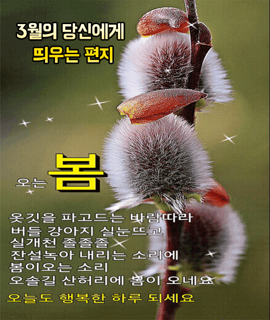 3월의 당신에게 띄우는 편지