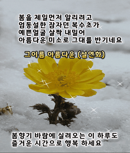 2월에 꿈꾸는 사랑