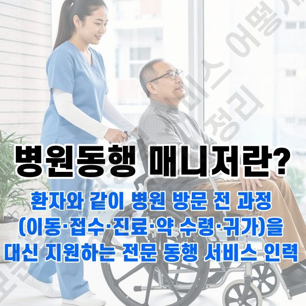 보문동 병원동행 서비스