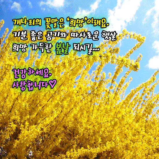 이것이 “희망” 입니다