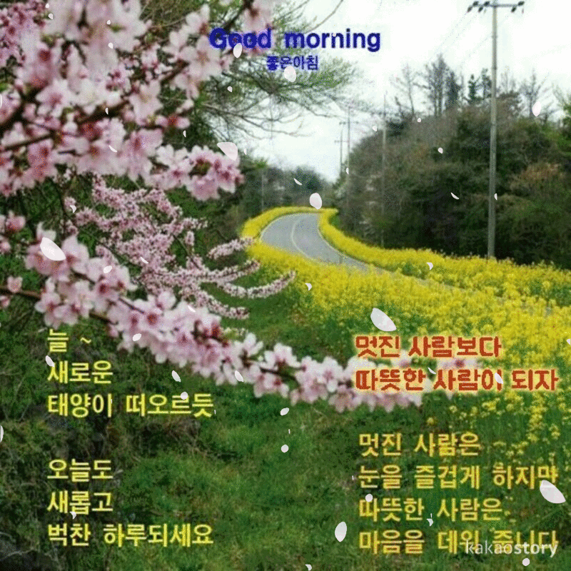 우리가 걷는 길