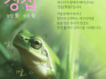 오늘은 경칩!! 봄이 찾아왔어요!