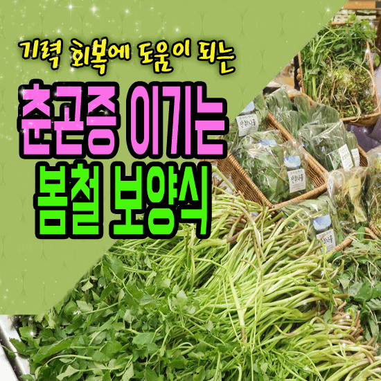 춘곤증 이기는 봄철 보양식