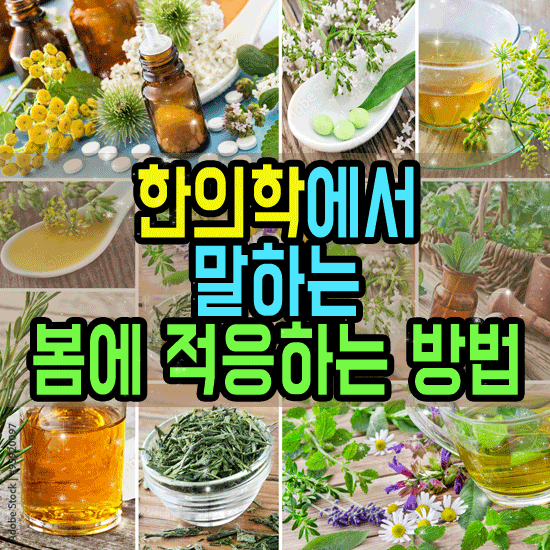 한의학에서 말하는, ‘봄에 적응하는 방법’