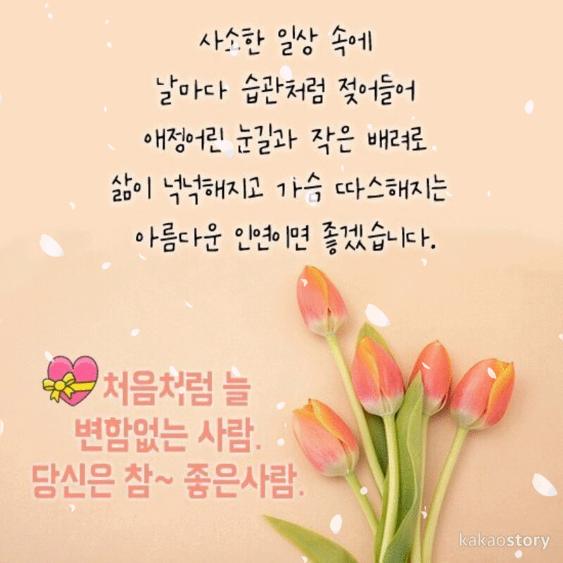 당신은 참 좋은 사람입니다