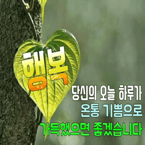 🎁 오늘을 선물하다