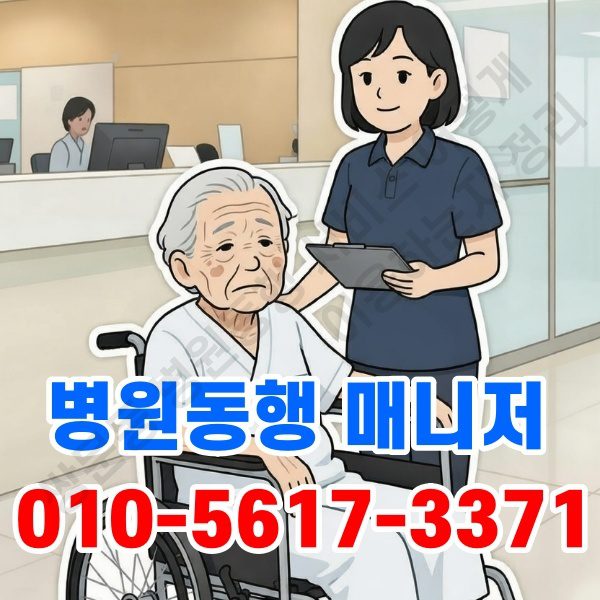 쌍문동 병원동행 서비스 이용방법 총정리 처음부터 쉽게 정리