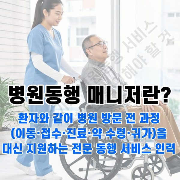 양재동 병원동행 서비스