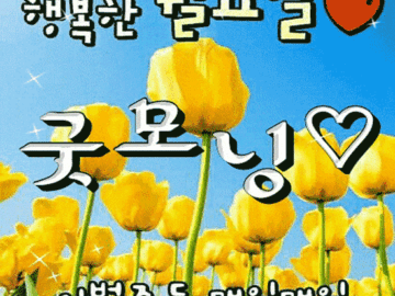 당신의 하루가… 당신의 하루가