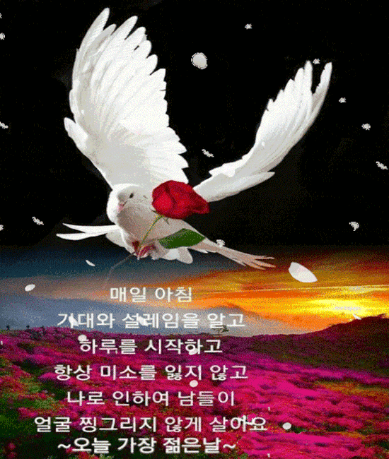 바라만 봐도 좋은 당신