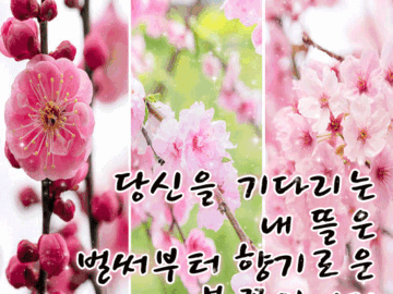 그대는 사랑보다 더 아름다운 향기