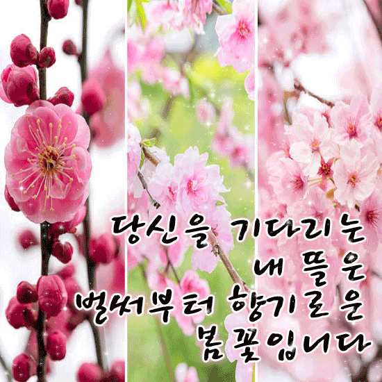 그대는 사랑보다 더 아름다운 향기