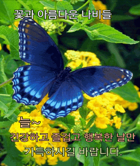 인생은 물들기입니다 인생은 물들기입니다