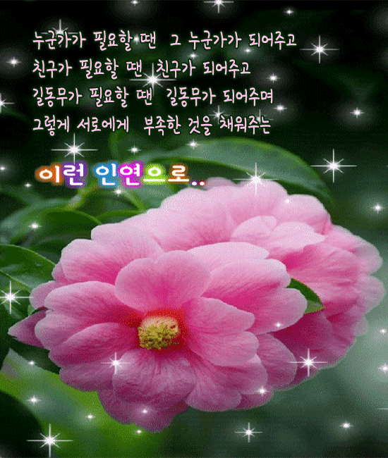 이런 인연으로 