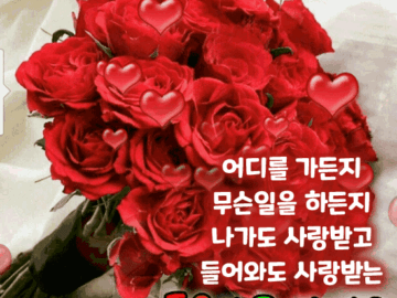 우리 사랑해 보자