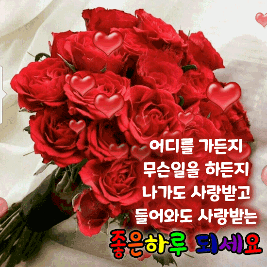 우리 사랑해 보자