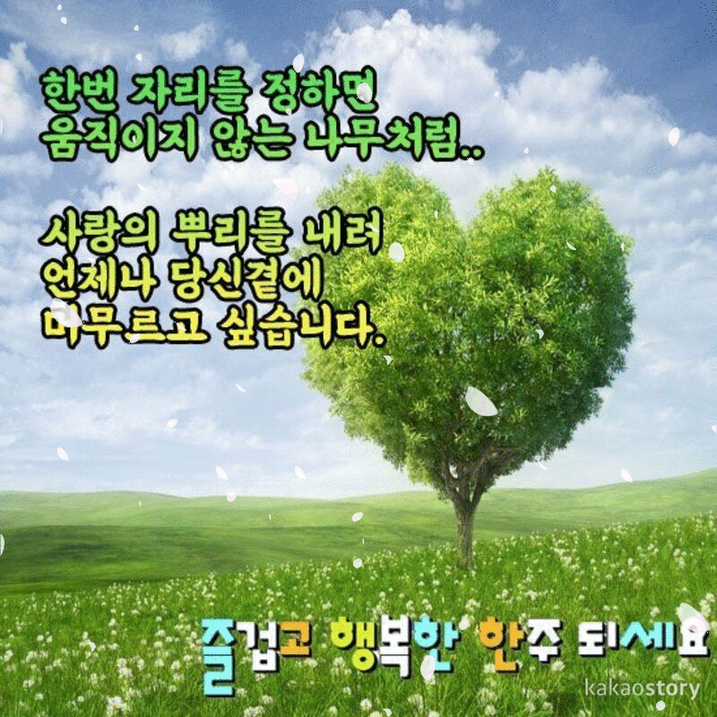 나무처럼 살 수 있다면 얼마나 좋을까