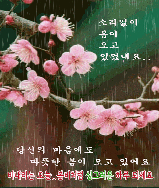 훌쩍 계절은 봄이라 합니다
