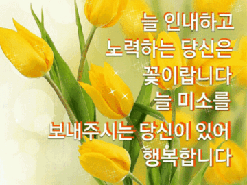 아름다운 동반자