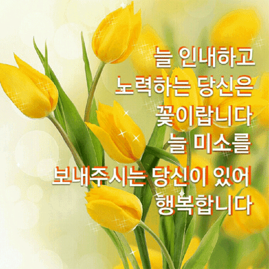 아름다운 동반자