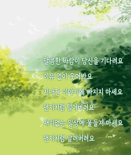 먼지처럼 털어버려요 먼지처럼 털어버려요