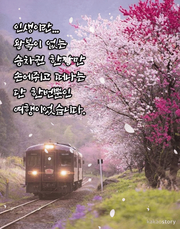 인생 이라는 여행