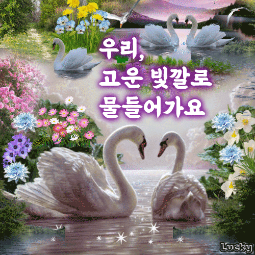 고운 빛깔로 물들어가요
