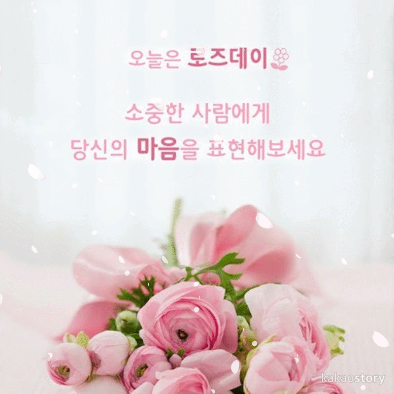오늘은 장미꽃으로 마음을 표현 하는 로즈데이