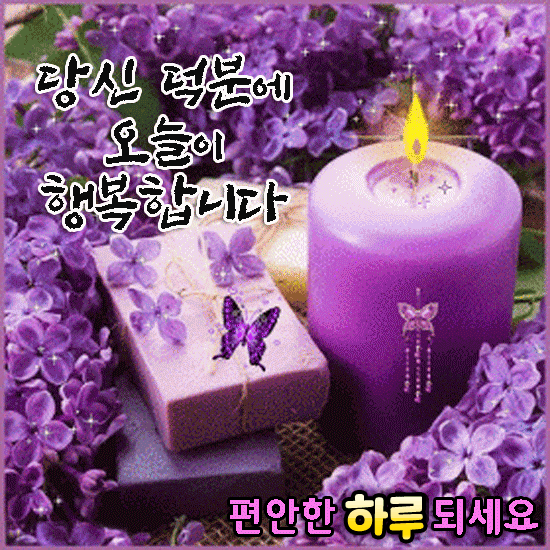 마음의 꽃을 당신에게