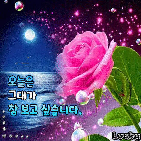 오늘은 참 보고 싶습니다