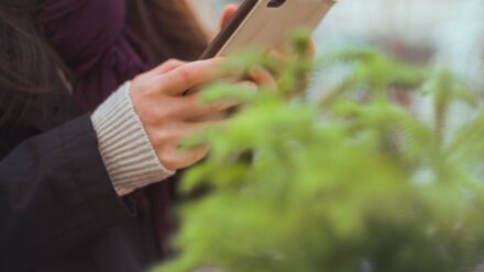 명언, 후회하는 말은 왜 대부분 ‘대답하기 전’에 나올까—문자 보내기 전에 체크할 3가지 실수