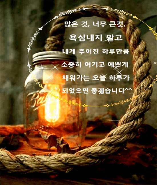 오늘의 기쁨