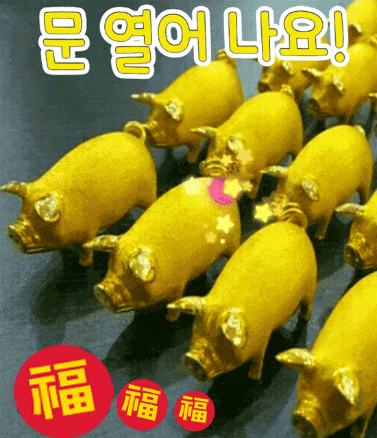 재물과 장수를 부르는 행운의 거북이 들어갑니다
