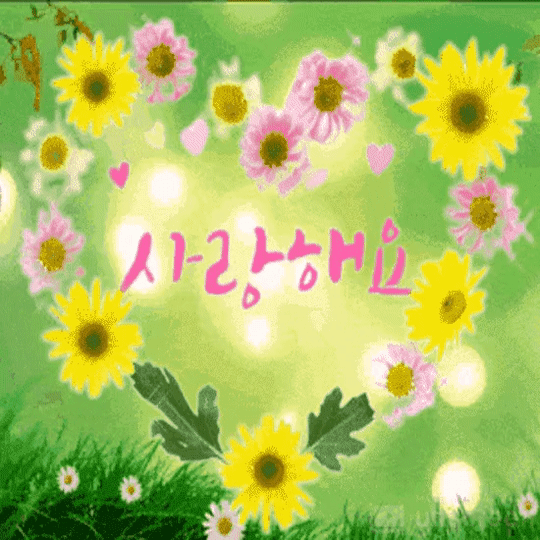 삶이 나에게 가르쳐주는 사랑