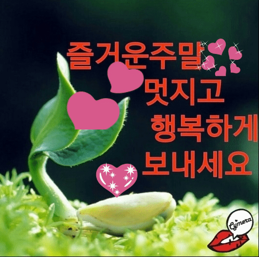 마음의 여유가 아름답습니다