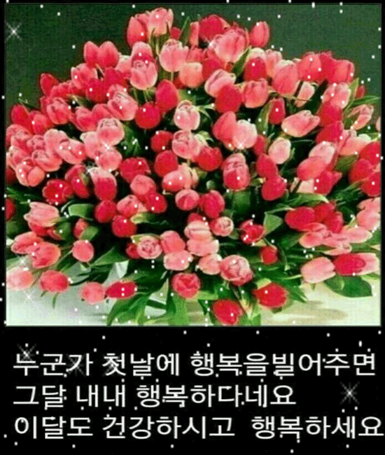 100년만에 한 번 피는 행운의 소나무꽃 보고가세요
