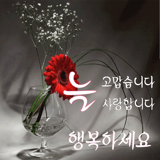 좋아 좋아