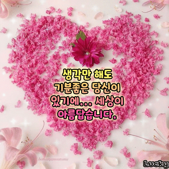 사랑의 바구니를 걸어 놓겠습니다
