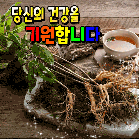 해는 또 다시 떠오른다