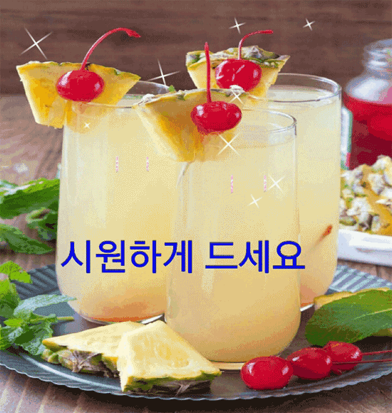 내사랑을 어쩌겠습니까