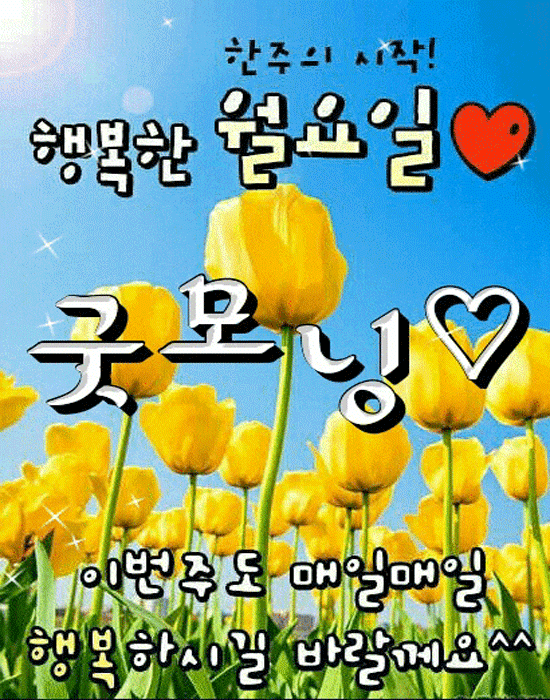 8월을 보내며