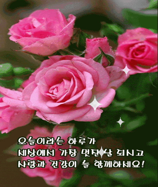 이런 오늘이었으면 좋겠습니다