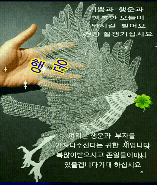 전설의꽃 우담바라를 아세요?