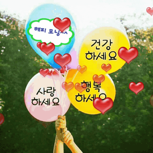 오늘은 또 오늘이라 좋습니다