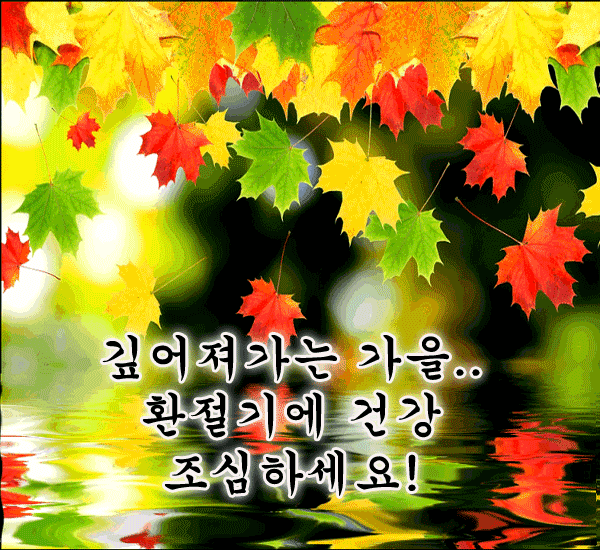 가을로의 초대