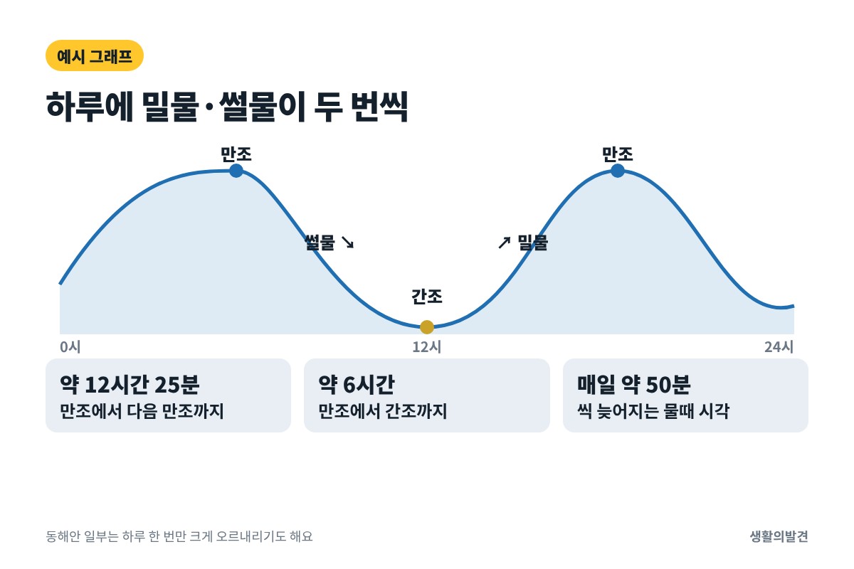 밀물 썰물 하루 주기 그래프 – 만조 간조 하루 두 번, 약 12시간 25분 간격, 매일 약 50분씩 늦어짐