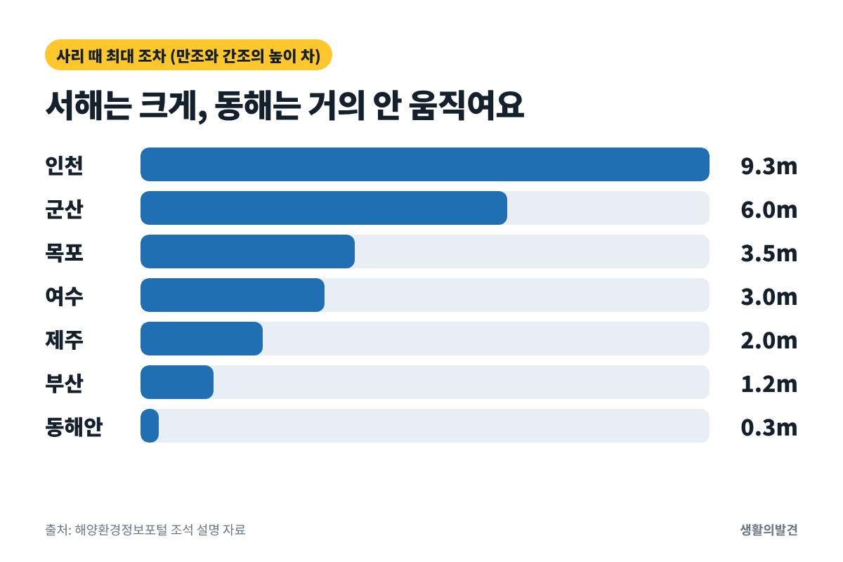 지역별 사리 때 조차 – 인천 9.3m, 군산 6m, 목포 3.5m, 여수 3m, 부산 1.2m, 동해안 0.3m